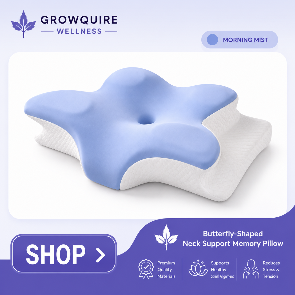 AlignRest Butterfly Pillow