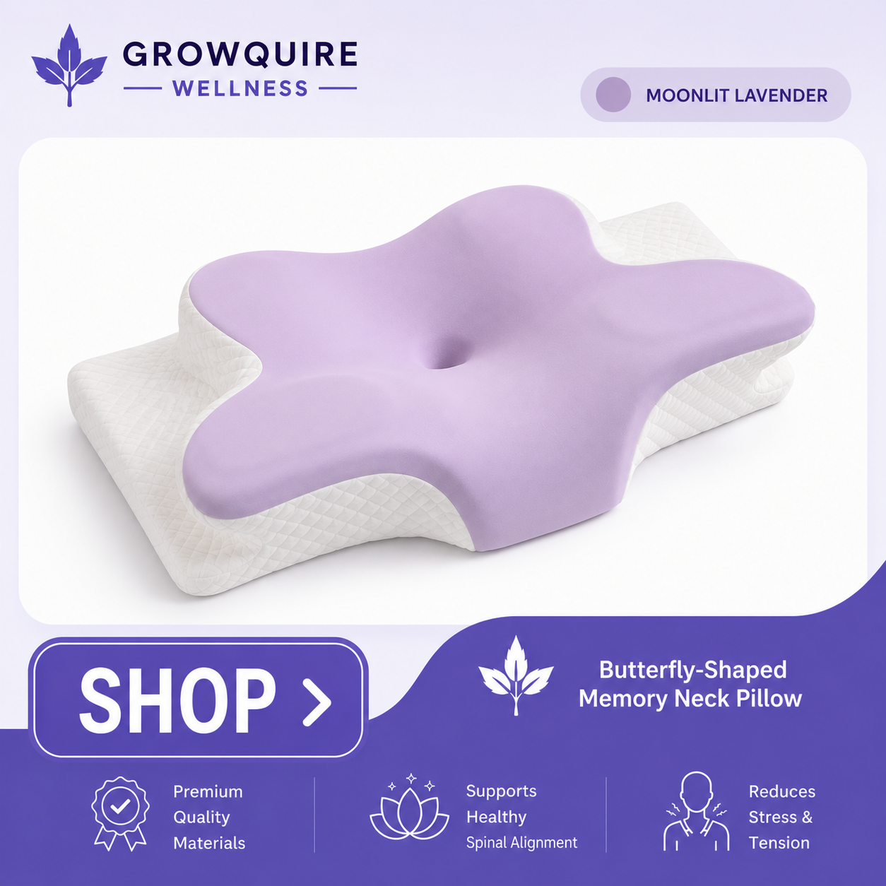 AlignRest Butterfly Pillow